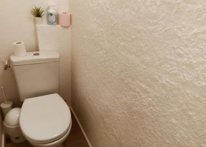 Apartman Duplex Cosy - Gare - Hyper Centre - Wifi